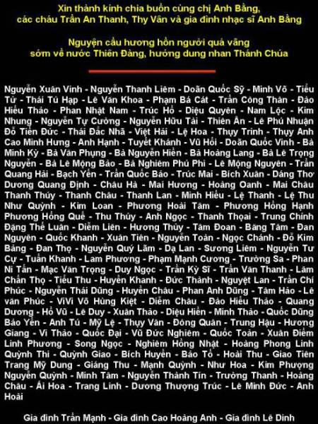 PhanUuNSAnhBang-WebLeDinh-02