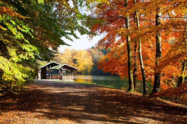 ThuNayKhongCoEm-NguyenSon