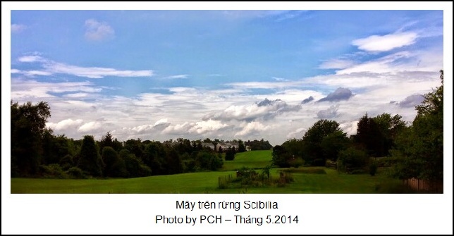 MayTrenRungScibillia-PCH