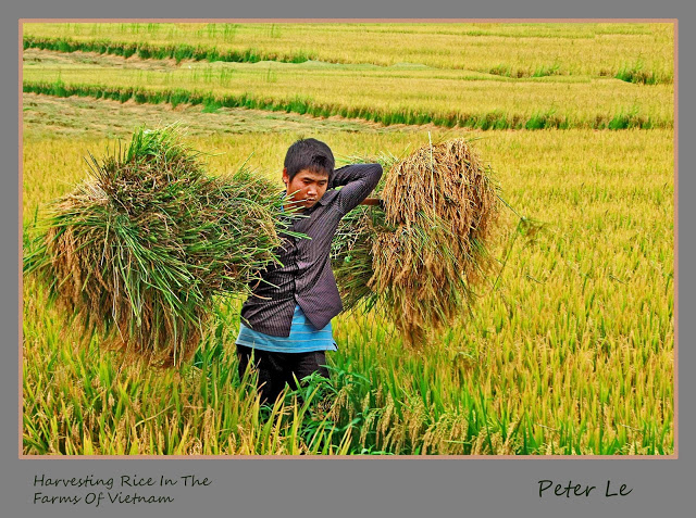 Untitled 8x12 final1b