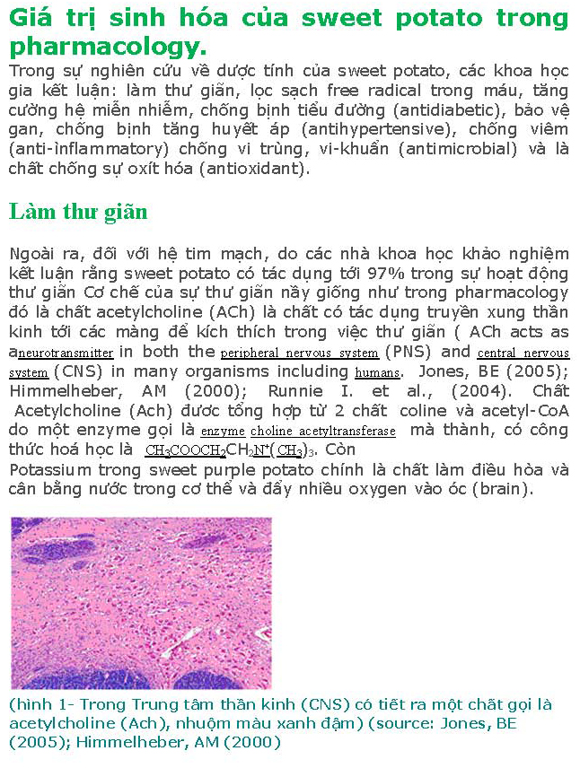 khoai-lang-sua-chua-xong_page_05