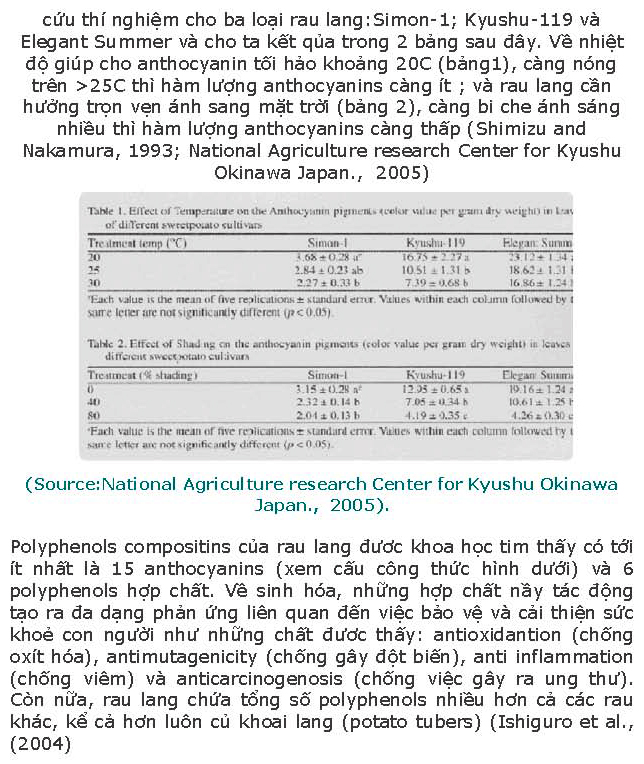 khoai-lang-sua-chua-xong_page_14