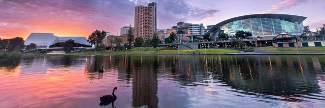 chieu-giap-tet-o-adelaide-1