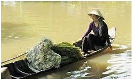 Goi nha tho xu bac 02