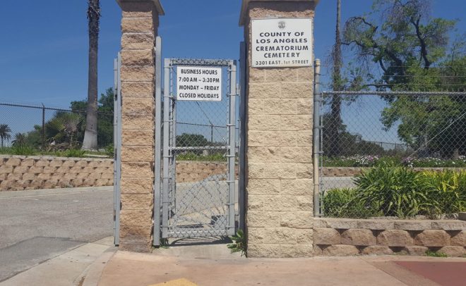 Mot manh doi ran vo 03