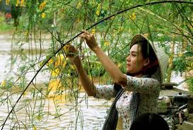 Thuong em mua nuoc lu 01