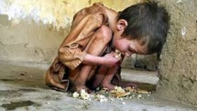 khong ai chiu loi 01