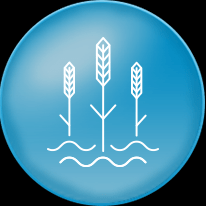 Ngay nuoc the gioi 2017 09