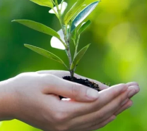 Ngay Trai Dat 2017 04