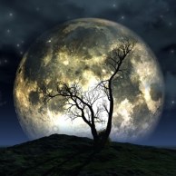 Thu Chưa Tàn Phai 02