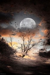 Thu Chưa Tàn Phai 03