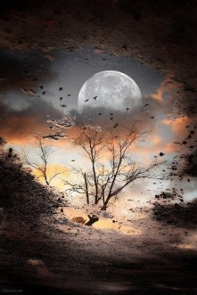 Thu Chưa Tàn Phai 03