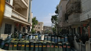 Canh chim bao bao 03