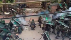 Canh chim bao bao 04