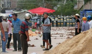 Canh chim bao bao 06