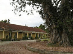 Da mon nhung da chang mon 05