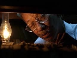 Huong rung Ca mau 01