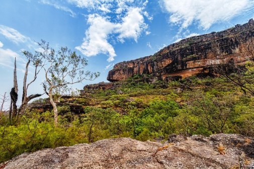 nhu vay cung nen mung 05