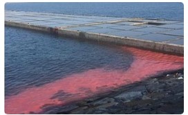 Nha may nhiet dien 06