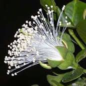 Noi nay va que huong 03