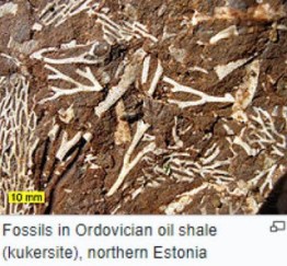 Nang luong dieu tiet 02