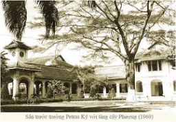 Tha huong ngo co tri 05