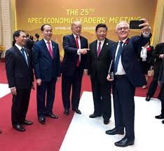 tuong gam banh mi 05