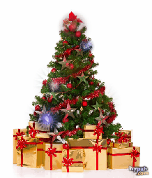 tiec giang sinh dac biet 01