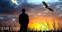 hỡi cánh chim 2