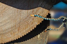 Toan cau hoa khoa hoc 04