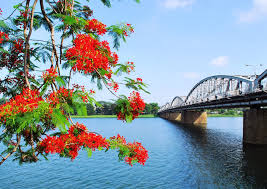 Viet trang tinh su 02