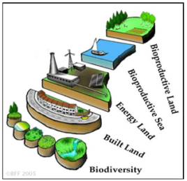 dau an sinh thai 03.png