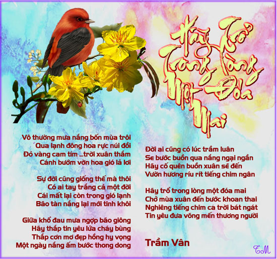 hay tro trong long 1 doa mai