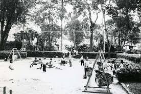 nhung chiec la thoi gian 01