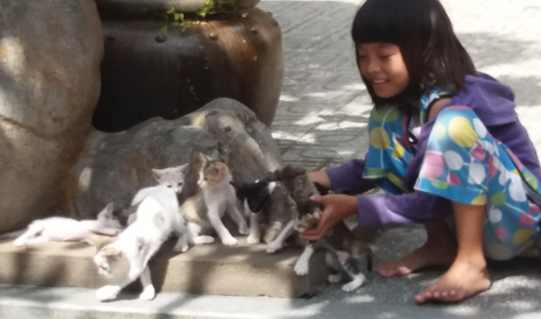 Ke vang lai cua chua 01