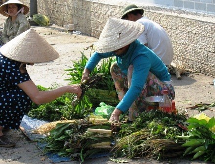 Bai hanh phuong nam 01