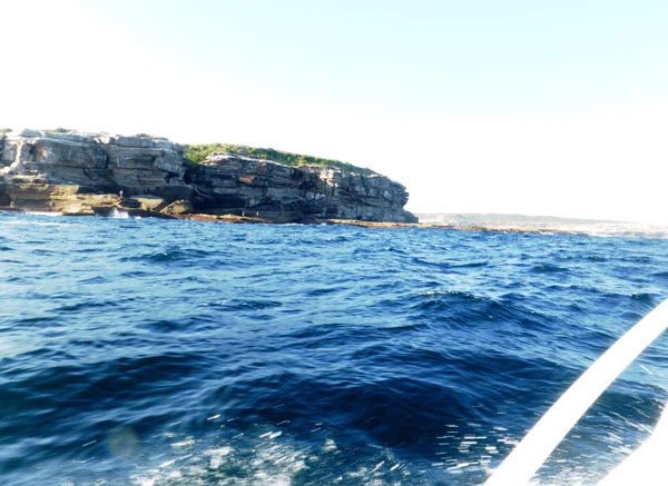 Dem benh bong tau cau 01