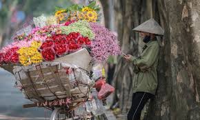 Con loc mau hoa hong 03