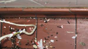 xuc cung la nghe thuat 03