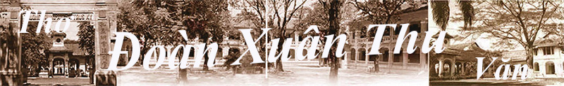 Doan Xuan Thu_logo 2