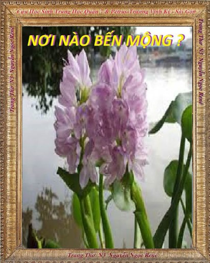 noi nao ben mong