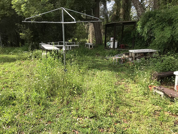 Trai Hoa vang clean 04