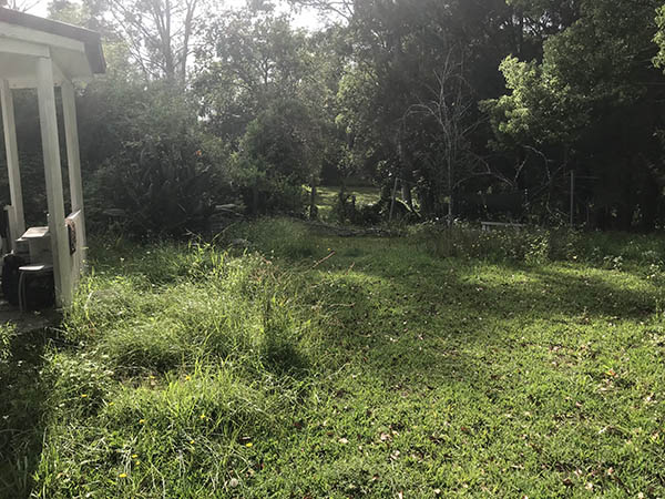 Trai Hoa vang clean 05.JPG