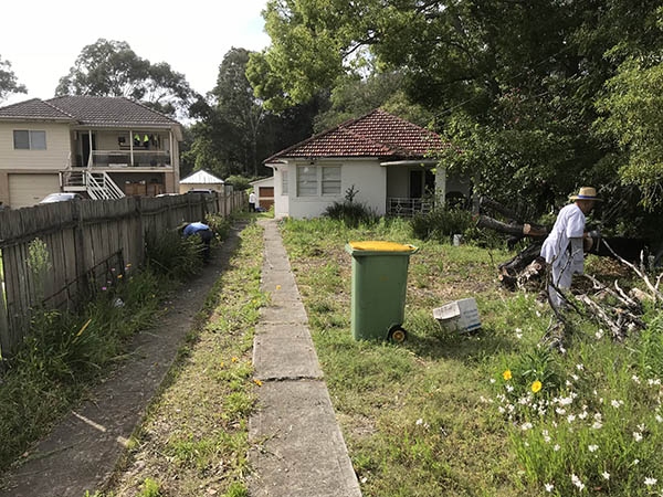 Trai Hoa vang clean 09