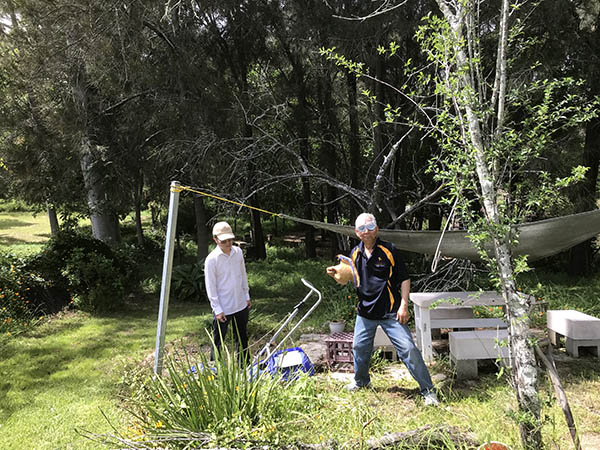 Trai Hoa vang clean 10