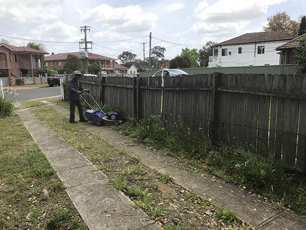 Trai Hoa vang clean 14