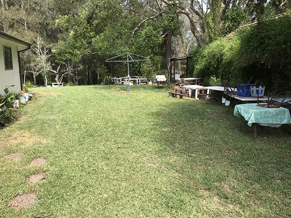 Trai Hoa vang clean 17