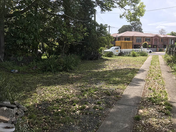 Trai Hoa vang clean 19