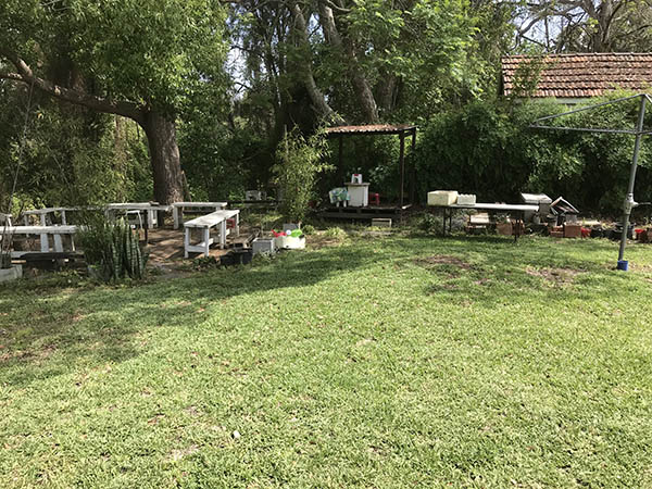 Trai Hoa vang clean 21