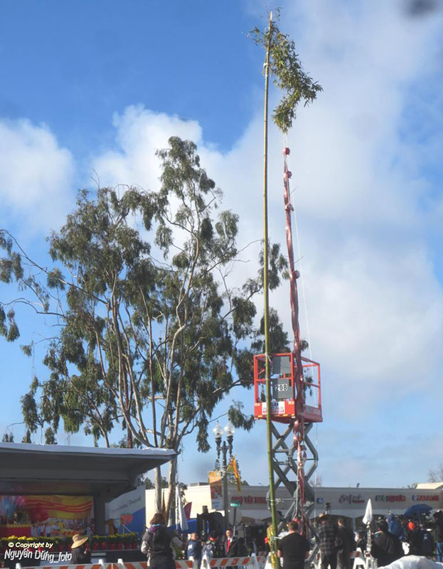 Dien hanh ky hoi 2019 03